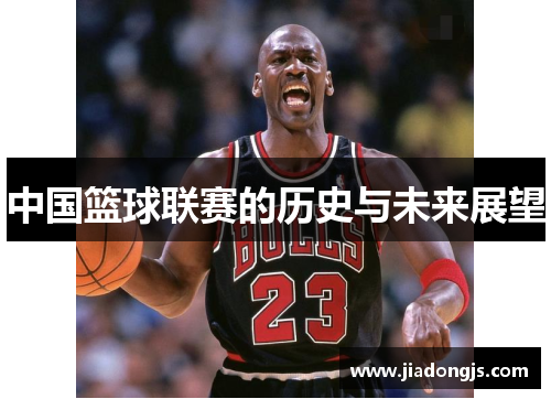 中国篮球联赛的历史与未来展望